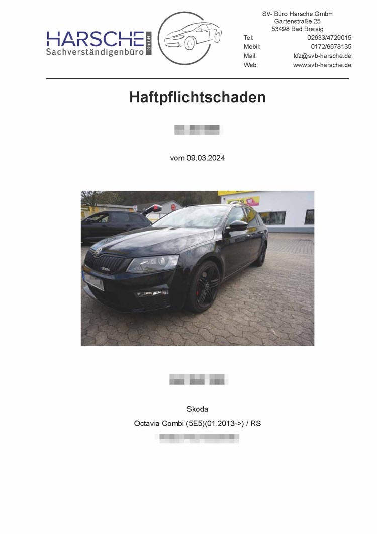 Beispielgutachten von SVB Harsche